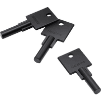 Koop Netatmo slimme sleutels voor slim deurslot 3-pack - 3700730504812